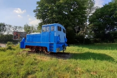 64997493_1561477743988548_9089190575558623232_n