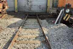 65367546_1561477870655202_6760344301328138240_n