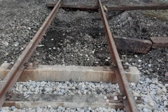 65978416_1561477833988539_6724577561738739712_n